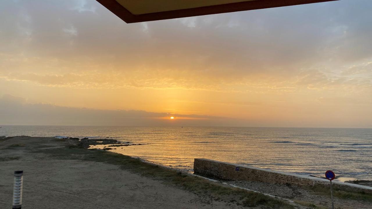 Beachfront Apartment - La Mata 또레비에하 외부 사진